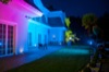 galeriaK 12