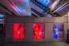 galeriaTriumph 18