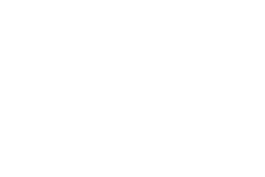 Tulipinn